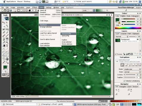 Pixel - bitmap editor