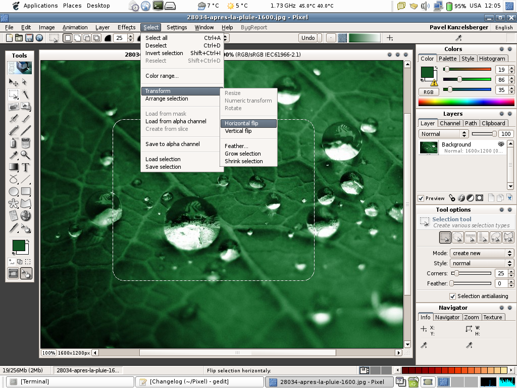 Pixel photo editor on Linux