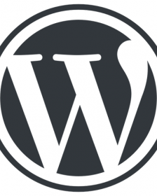 WordPress logo